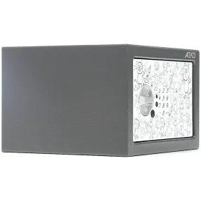 сейф t-170 el paint